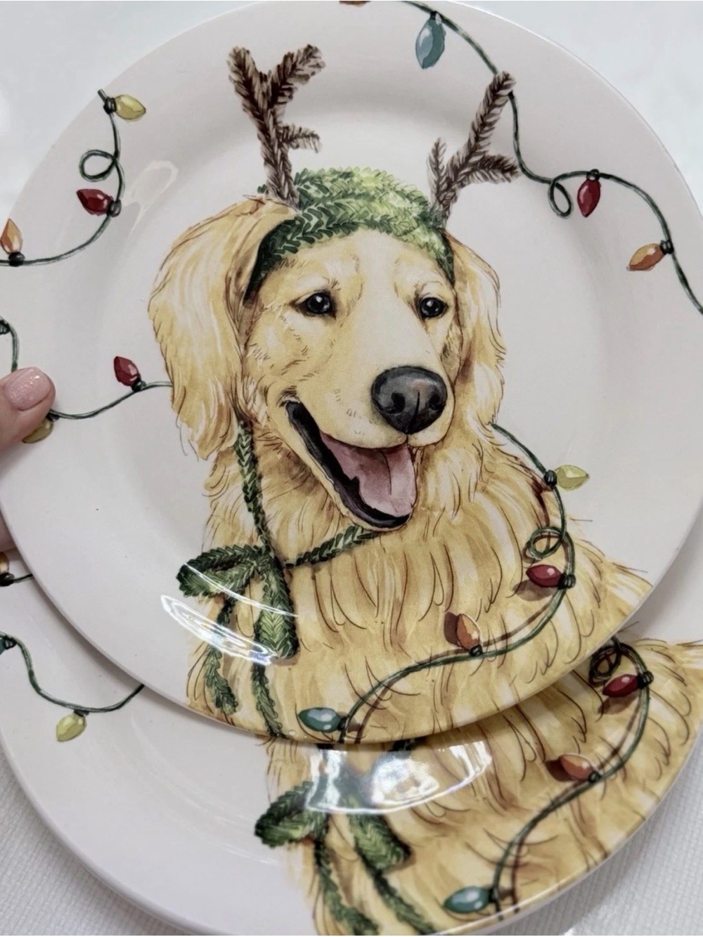Pier 1 Golden Retriever Plate with Green Hat and Multicolored Lights